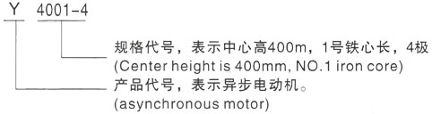 西安泰富西玛Y系列(H355-1000)高压YE2-180L-4三相异步电机型号说明