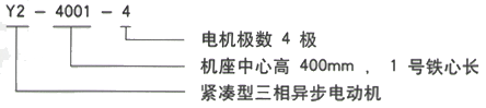 YR系列(H355-1000)高压YE2-180L-4三相异步电机西安西玛电机型号说明